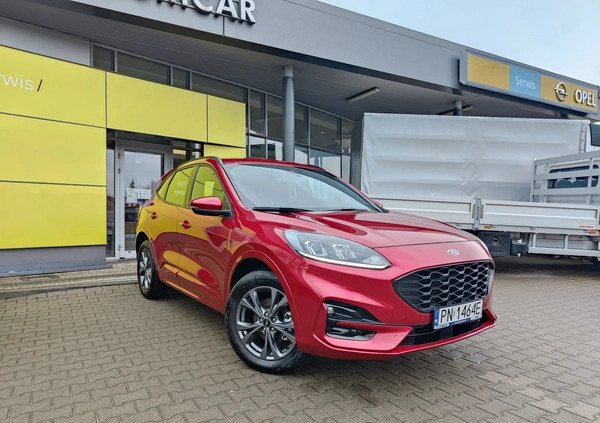 Ford Kuga cena 165900 przebieg: 10, rok produkcji 2022 z Poznań małe 137